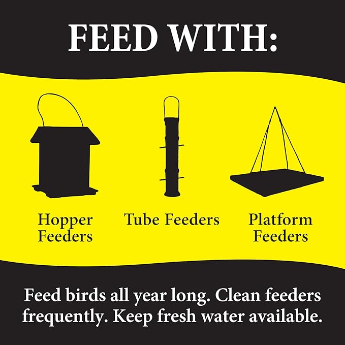 Wild Delight Advanced Formula Bugs N Berries Wild Bird Food 4.5 lbs