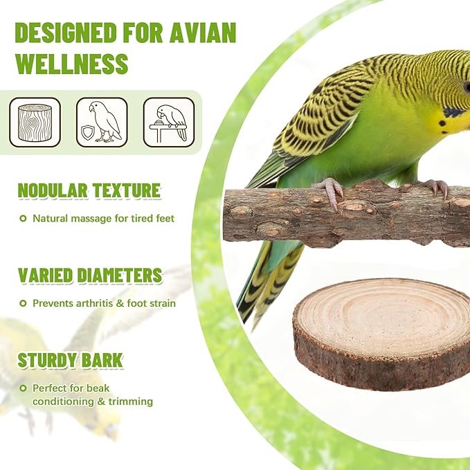 6-Piece Natural Wood Bird Perch Set - Forked Grapevine Branches, Prickly Ash Sticks & Apple Wood Platforms - Habitat Standing Accessories for Parakeets, Cockatiels, Conures, Budgies