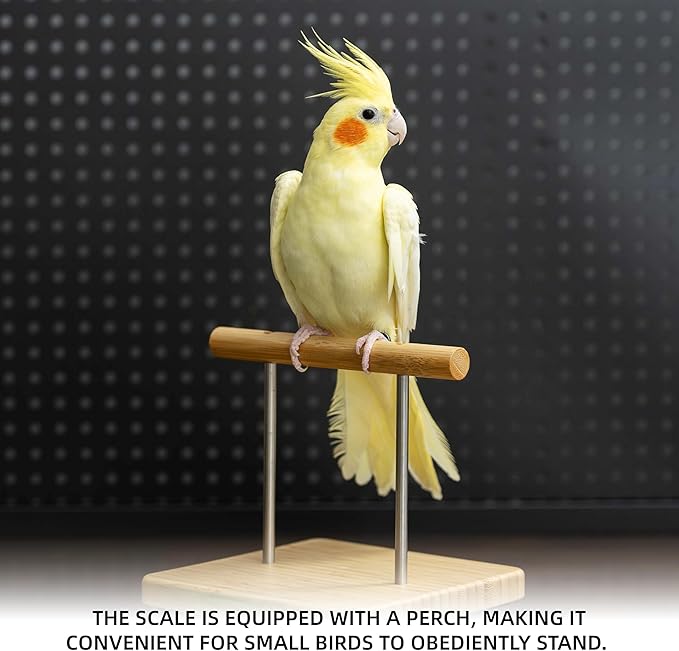 NEOUZA Perch-Mounted Pet Bird Scale, Parrot Weight Scale with Perch, Weight Change Monitoring, Suitable for Parrot, Canaries, Budgerigars, Cockatiels, Society Finches