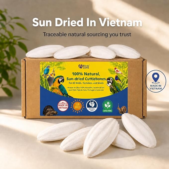 Birds LOVE 7.5-8" Cuttlebone for Birds – 100% Natural Sun-Dried Calcium Carbonate Mineral Supplement – for Parakeets, Budgies, Cockatiels, Finches & Canaries – 1 Pack with Holder – Made in Vietnam