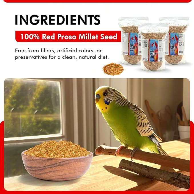 Morning Bird Red Proso Millet 4.5 lbs (3-Pack, 1.5 lbs Each) – Natural Bird Seed – Supports Feather Growth & Balanced Nutrition – Great Flavor, Energy Dense - Ideal for Finches, Parakeets & Pet Birds