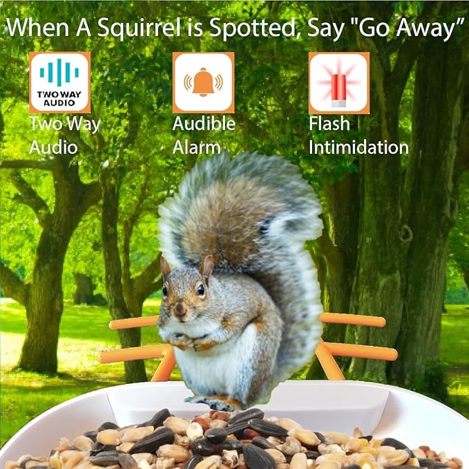 4UCam Smart Bird Feeder with Camera Solar Panel Powered, 1080HD Auto Capture Bird Videos & Instant Notifications, AI Intelligent Recognition Birds Spieces-Wireless Camera, with two-way Auto Capture 32