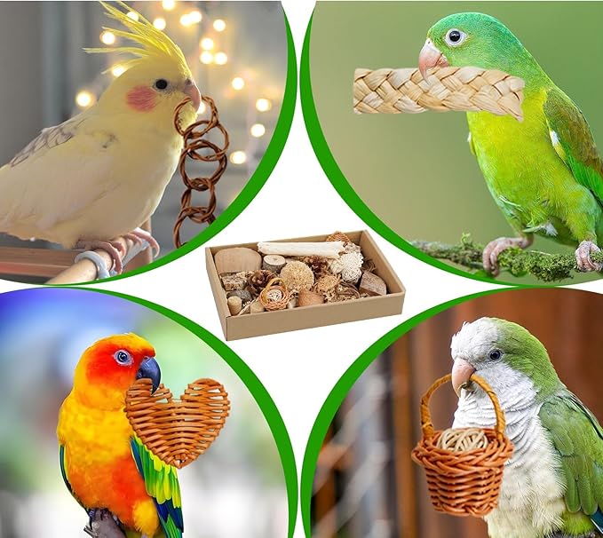 Bird Toys, Variety Natural Bird Foraging & Shredding Toys Boxes, Safe Parrot for Cockatiel ，Lovebird，Cockatoo，Macaw ，African Grey Parrot & Small Birds