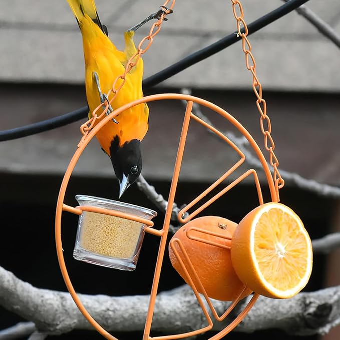 LIOOBO Bird Feeder Cup for Outside Replacement Parts for Outdoor Feeder Stylish Garden Dec