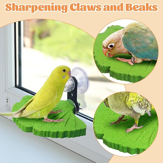 3PCS Bird Beak Grinding Stone with Suction Cups for Small Birds Foot Claws Trimmer Bird Stand Platform Parakeet Cage Perch Parrot Cage Accessories for Indoor Window Viewing (Green)