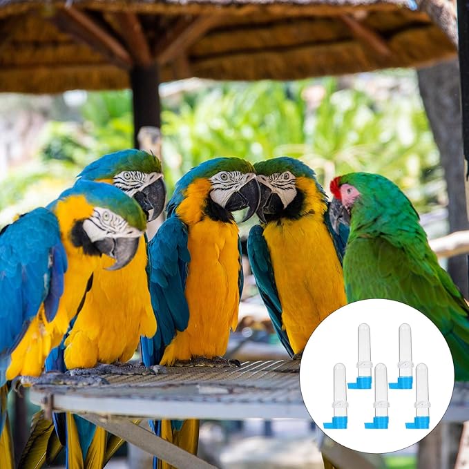 5pcs Bird Drinker Bird Water Dispenser Parakeets Water Dispenser Automatic Water Fountain Drinking Fountains No Drip Water Bottle Small Parrot for s Plastic