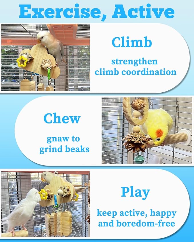 2 Pack All Natural Bird Chew Toys, Sun Conure Beak Grinding Toys, Parakeet Toys with Bells for Cage Small Medium Bird, Chewing Parrot Toys for Quaker, Budige and Cockatiel