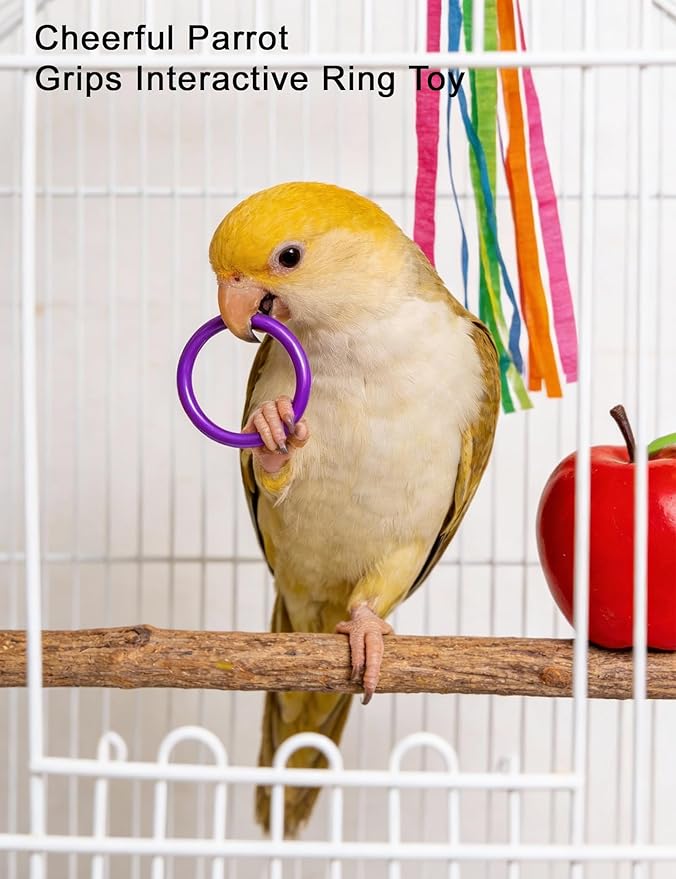 12 Pcs Bird Toys Colorful Chew Ball Toys with Bells for Small Medium Pet Birds Parakeets Cockatiels