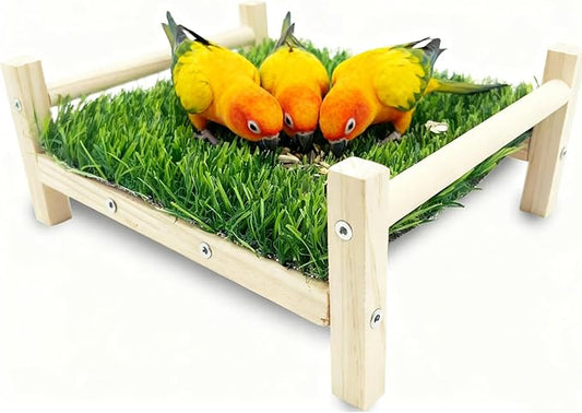 Bird Toy with Foraging Mat, Parrot Forage Toy Bed, Parrot Grass Perch Hammock Bed, Bird Perch Conure Platform Grass Forage Toy for Parakeet, Cockatiel, Lovebird, Budgie