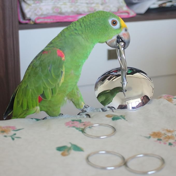 Stainless Steel Parrot Ring Toss Toy – Interactive Training & Enrichment Bird Toy, Bite-Proof Design for Anxiety Relief & Exercise Fun for Cockatoos, Macaws, African Greys (Small)
