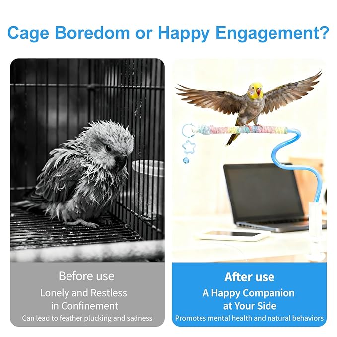 Flexible Bird Perch Stand with Bell - Parrot Toy & Desktop Training Playstand for Budgies, Cockatiels, Lovebirds, Conures, Parakeets - Colorful Playground Accessories (Blue, Medium)