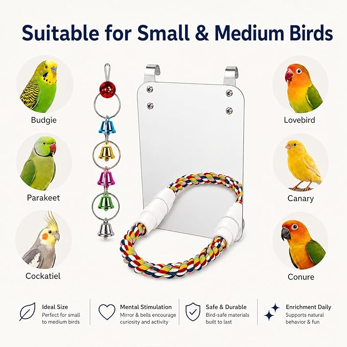 7" Bird Mirror with Rope Perch Bird Toys Swing, Comfy Perch for Greys Amazons Parakeet Cockatiel Conure Lovebirds Finch Canaries