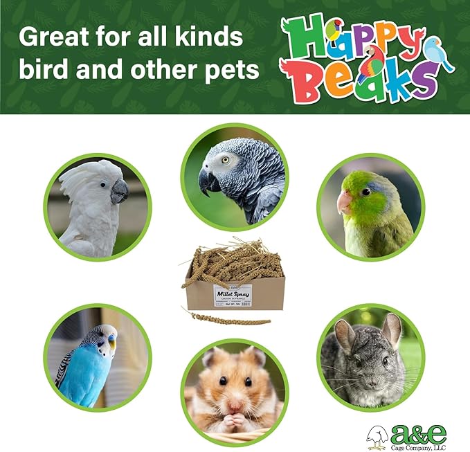 A&E Cage Co AE9054 Premium French Spray Millet for Birds – 6oz Retail Bag with 12 Natural Millet Sprays – Healthy Bird Treat for Budgies, Parakeets, Cockatiels, Finches & Small Birds