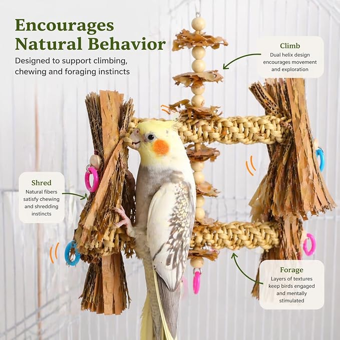 Bonka Bird Toys 1557 Duo Natural Helix Bird Toy 12" with Vine Wood and Natural Fibers 8.5" W for Small to Medium Parrots Budgie Cockatiel Conure Chewing Foraging Cage Toy