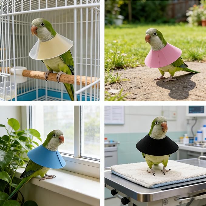 4 Pack Parrot Recovery Collar, Anti-Bite & Anti-Plucking Protective E-Collar for Budgies, Lovebirds, Cockatiels & Small Birds, Features Adjustable Velcro to Aid Wound Healing.