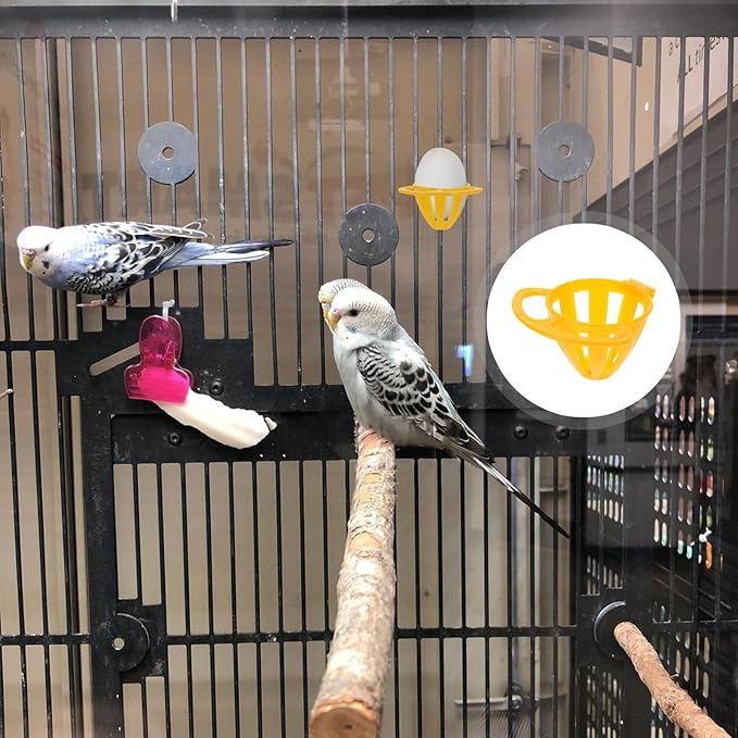 Parrot Cage Food Feeder Small Bird Vegetable Fruit Basket Durable Plastic Feeding Holder Easy Install for Parakeets Cockatiels