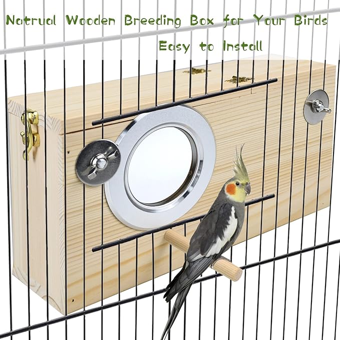 Parakeet Nesting Box Cockatiel Nesting Natural Pine Bird Nest Bird Breeding Box House Acrylic Transparent Bird Box with Detachable Wooden Board for Lovebirds Cockatiel Budgie Conure Parrot L