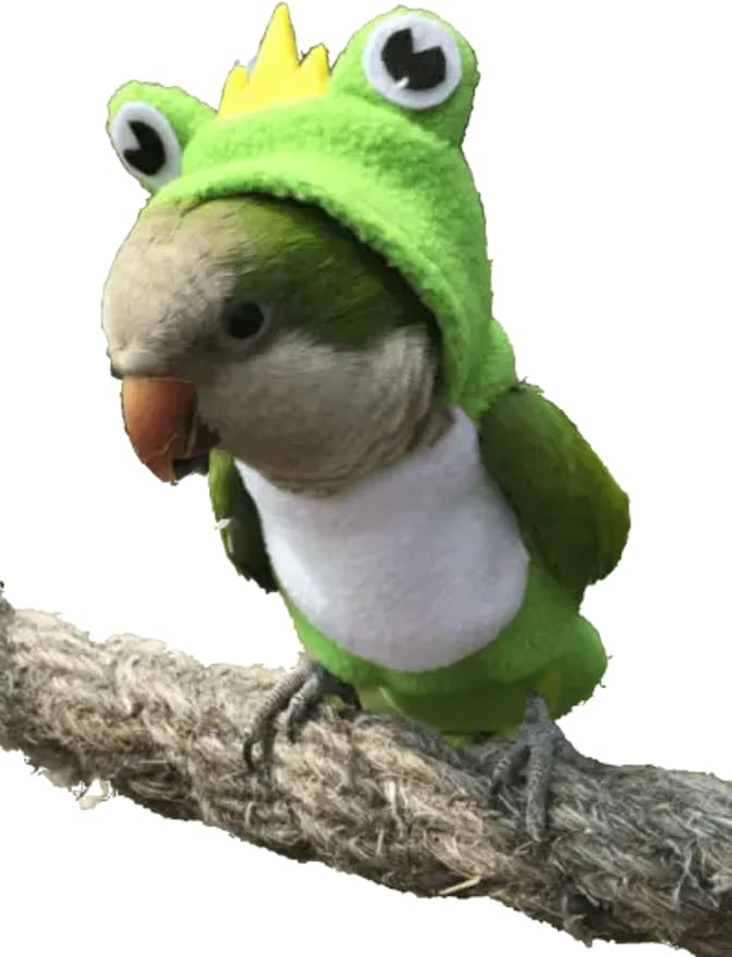 Bird Costume Diaper Flight Suit Frog Shape Hoodie Clothes Cosplay Photo Prop for Parrots Parakeet Cockatiel Sun Conure, Small Animals Apparel (Green with Diaper, Small), (BPF1)