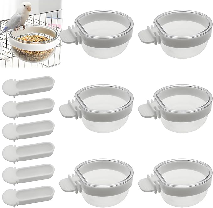 6PCS Small Bird Removable Transparent Bowl Parrot Food Feeder Hanging Seed Water Feeder Seed Water Feeders for Birds Such As Canaries and Parrots (with 6 Small Food Cups)