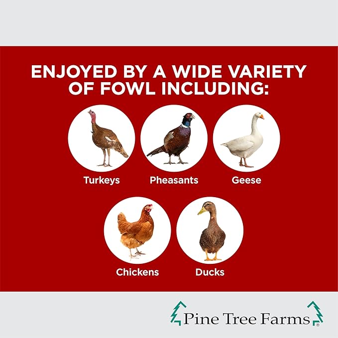 Pine Tree Farms Hen Pecked Classic Seed Log – Includes Chicken Treats with Mealworms & Peanuts for Chickens, Turkeys, Ducks, and Poultry, 28 oz (3 Pack)
