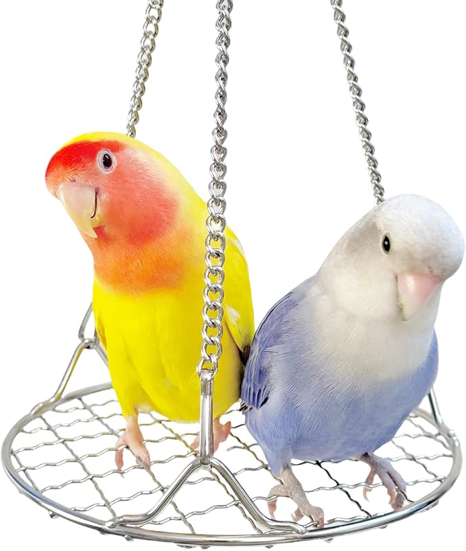 Bird Swing Perch Stainless Steel, Toy for Small Animal Parakeet Cockatiels Conures, Hanging Bird Cage Accessories to Balance Training for Budgies, Parrotlets, Rats, Hamsters, Sugar Gliders