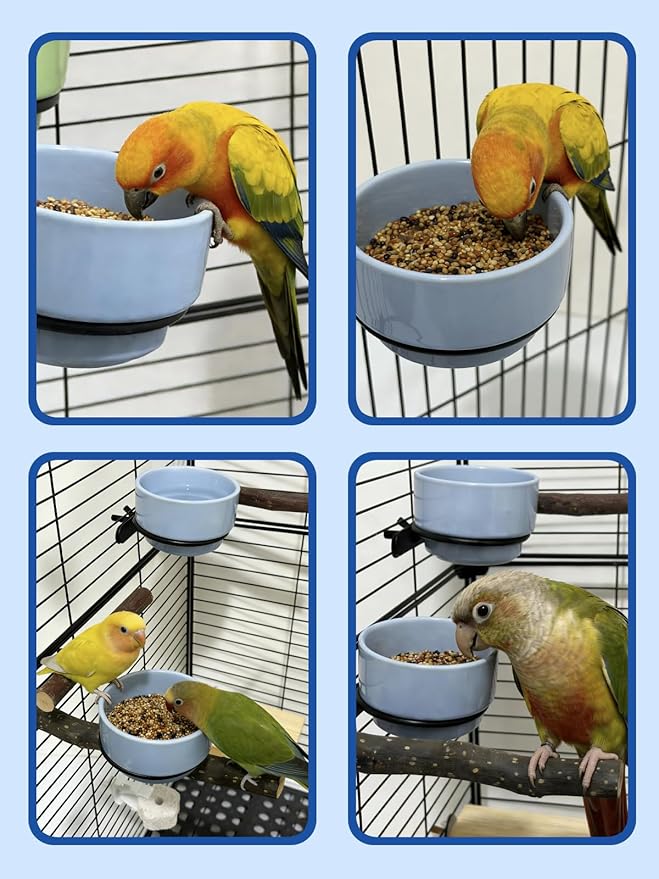2 Pcs Bird Food Bowl Ceramic Bowls for Birds Small Parakeet Food Bowl Parrot Feeding Cups, Bird Cage Feeder for Parakeets Conure Cockatiels Lovebird Budgie (Blue)