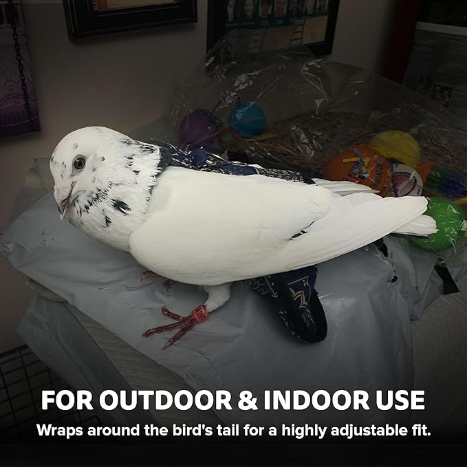 Hen Holster Premium Starter Kit - Bird Diaper, Wrap Around for Larger Pigeons, Small Breed Hens & Roosters - Leak-Proof, Comfortable Bird Harness with Sewn-in Liner & Hook & Loop Closure - XS, Purple