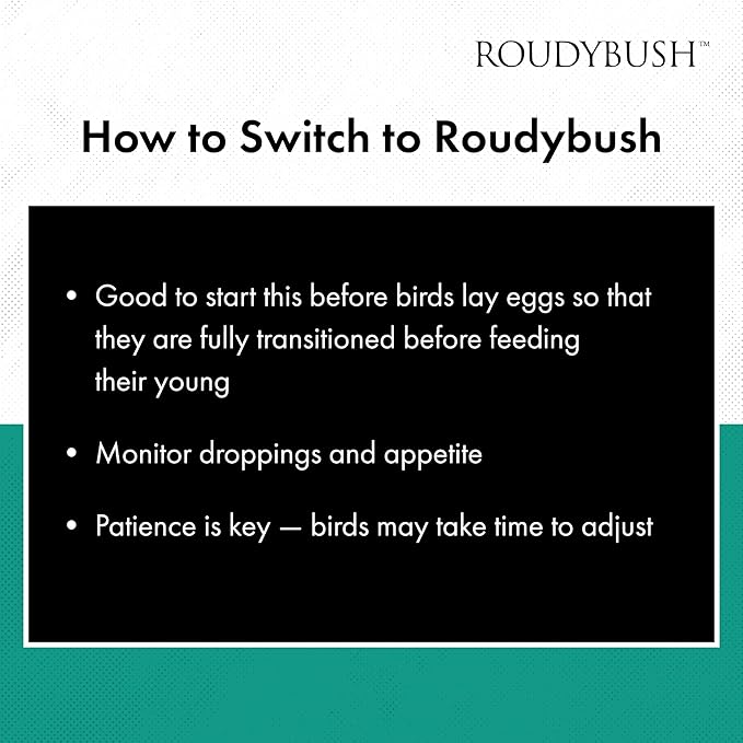 RoudyBush Squab Diet for Doves & Pigeons, Daily Food for Baby Birds, Crop Milk Replacement Formula for Baby Doves & Pigeons, Formulated Nutrition for Days 7-14, Hand Feeding Mix for Squabs, 1 Pound