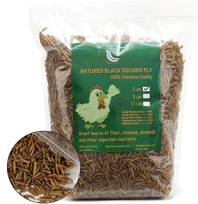Black Soldier Fly Larvaeis,5LB 100% Natural Large Size No Moisture,Mealworms for Birds Chickens Hedgehog Hamster Fish Reptile Turtles