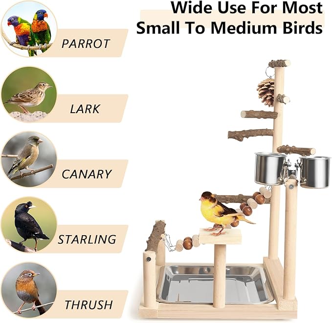 Wood Pet Parrot Playground Bird Play Stand Toys Perch with Feeder Cups for Cockatiel Parakeet Lovebirds Conure (Natural)