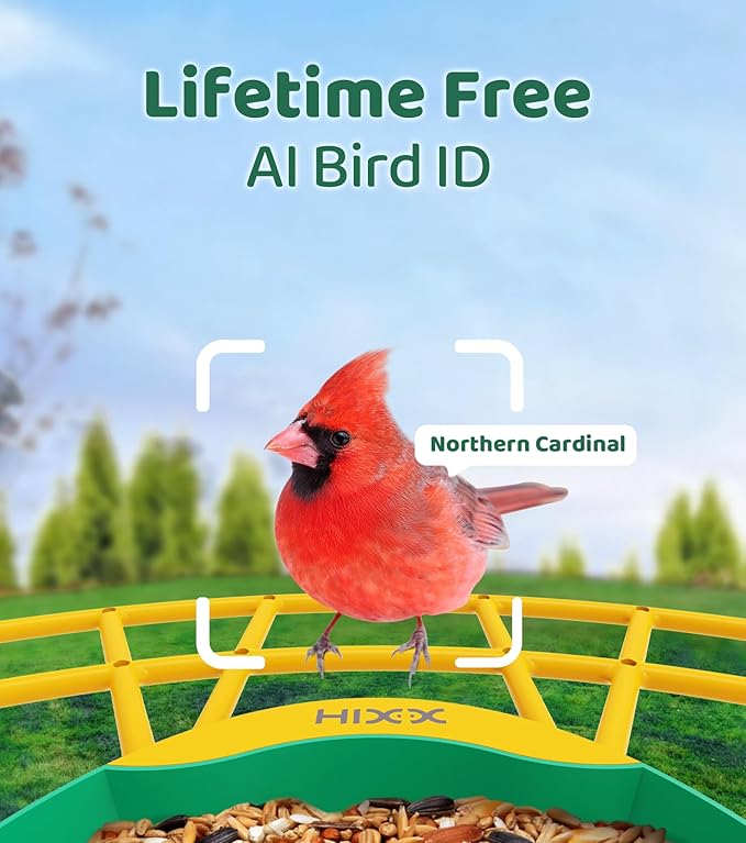 HIXX Smart Bird Feeder with Camera, AI Identify Birds & Auto Capture, 2K HD Live Camera Birdwatching with Color Night Vision for Bird Lovers Gifts (Green)