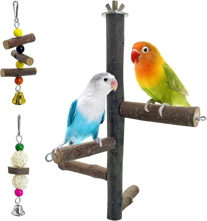 Hamiledyi Bird Perch Stand Toy, Natural Wood Bird Perch Stand Birds Perch Toys with Rotating Balls Parakeet Toys for Parakeets Cockatiels Conures Budgies Finches Love Birds
