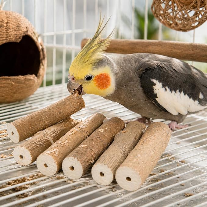 Bonka Bird Toys 1211 Pk6 Natural Bark Sola Sticks, 6-Pack, 3" Long, 1.25" Diameter, Soft Chew and Foraging Toy for Birds, Parrots, Parakeets, Cockatiels, Lightweight, Natural, Safe, Eco-Friendly