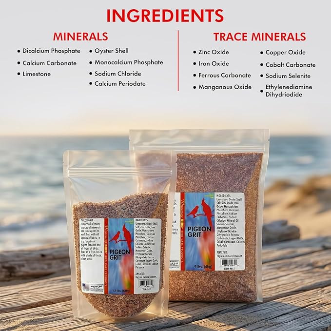 Morning Bird Pigeon Grit - Healthy & Nutritious Pigeon Food to Support Strong Muscles & Bones for Grit Eating Birds - Supports Digestion & Packed with Essential Minerals, 1.5 lbs