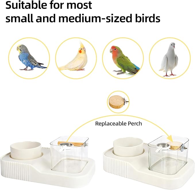 Bird Desktop Training Stand with Wood Stand, Bowls and Brush, Bird Playstand Portable Training Playground for Budgies, Cockatiels, Lovebirds,Conures, Parakeet Cage Accessories