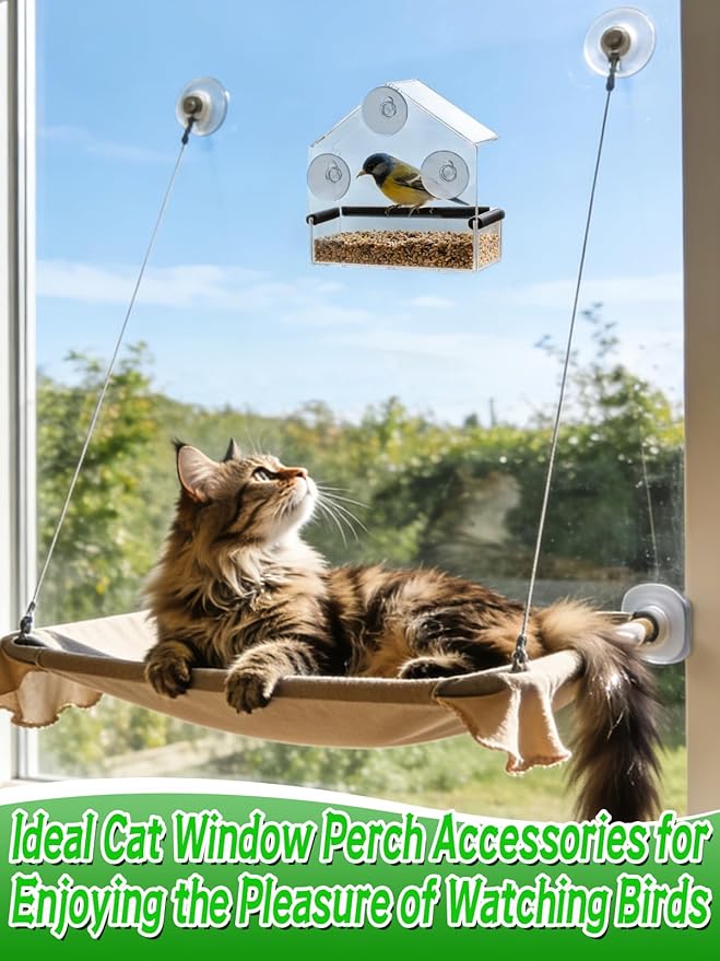 Outdoor Window Bird Feeder for Cats Viewing - Clear Bird Feeder with Strong Suction Cup, Cat Perch Accessories for Entertaining Watching, S