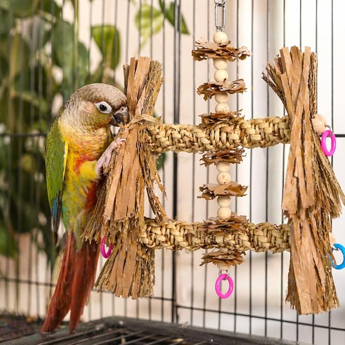 Bonka Bird Toys 1557 Duo Natural Helix Bird Toy 12" with Vine Wood and Natural Fibers 8.5" W for Small to Medium Parrots Budgie Cockatiel Conure Chewing Foraging Cage Toy