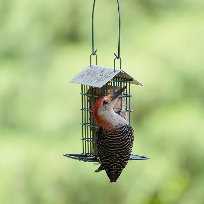 Wild Wings Decorative Metal Suet Cage Feeder for Outdoor Décor Wild Bird Feeders, 1 Suet Cake Capacity, Hanging Suet Feeder, Black