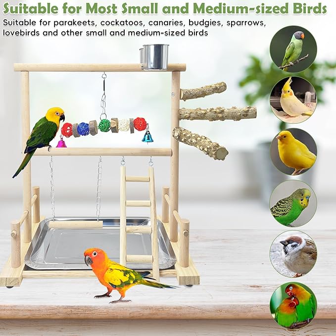 kathson Bird Playground Parrot Perch Stand Toys, Birds Wood Play Gym Activity Center Exercise Playpen Ladder Swing with Feeder Cups Chewing Toy(Include a Tray)