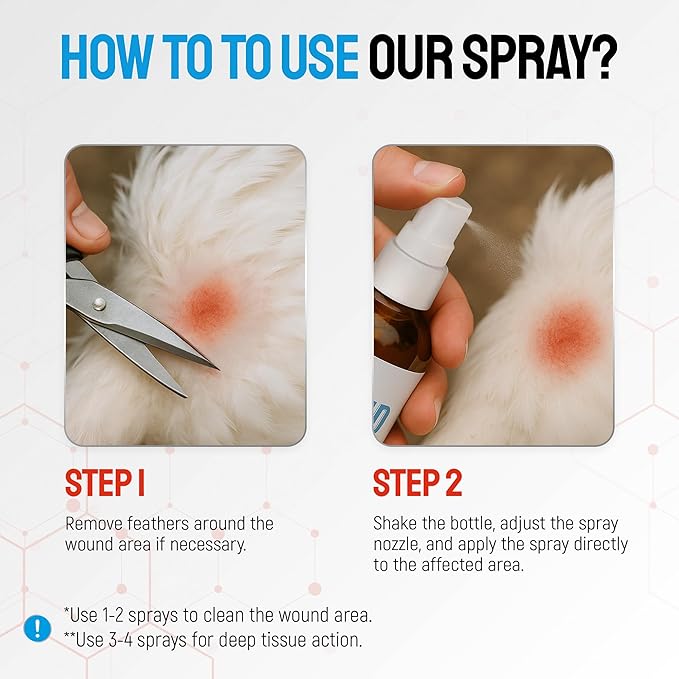 SILVER GRADE Wound Spray for Chicken – Birds & Chicken Antibiotics Alternative to Help with Pecking Sores, Bumblefoot, Cuts – Poultry Spray with Silver – GMOs Free – 4-Oz Bottle
