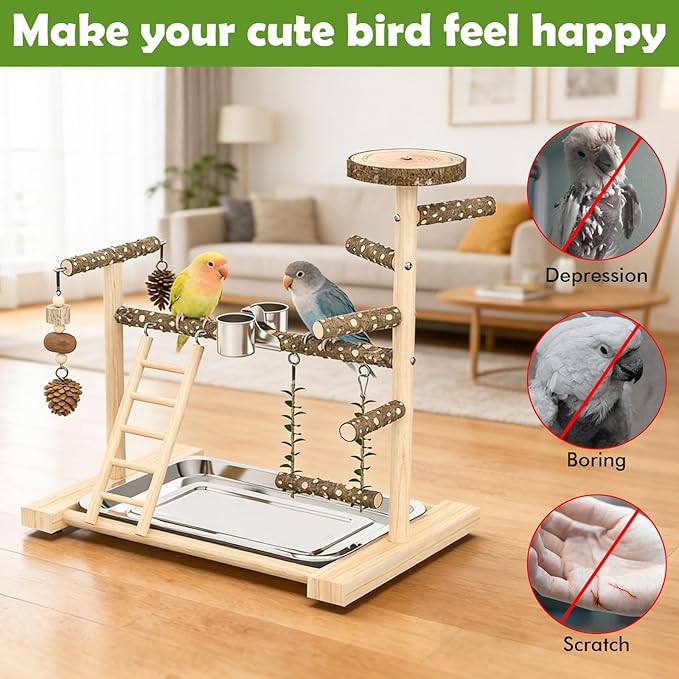 Bird Playground，Natural Wood Bird Perch Stand Parakeet Playground with Swing, Ladder & Feeder Cups，Birds Play Stand for Cockatiel Parakeet Lovebirds Conure