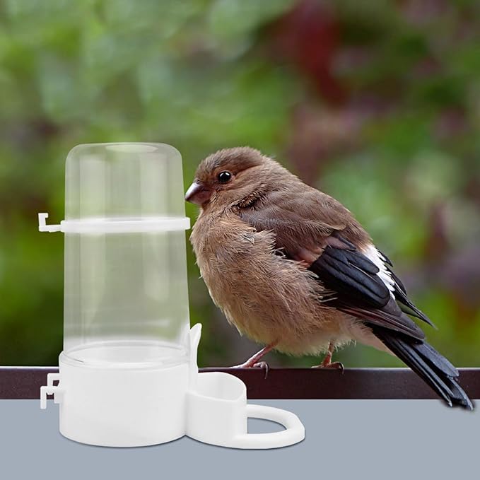 POPETPOP Bird Water Feeder, 2pcs Plastic Automatic Dispenser for Multiple Birds, Parakeet, Budgie, Cockatiel, Lovebirds, Canary, Finch