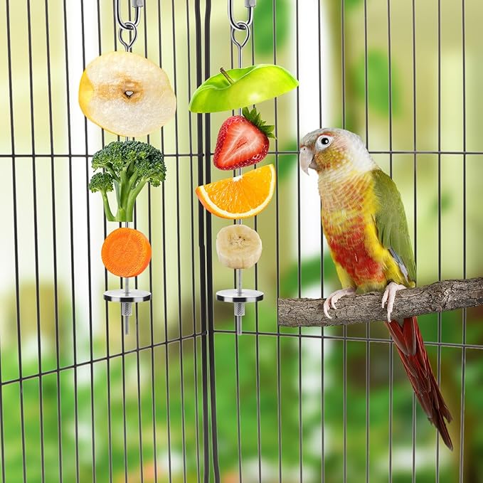 Bird Food Holder Stainless Steel Fruit Vegetable Stick Skewer for Parrots Cockatoo Cockatiel Cage Treating Tool (2 PCS-L)