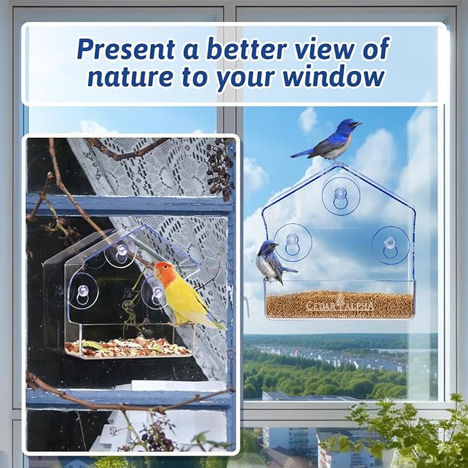 2Pk Window Bird Feeder for Outside, Window Birdfeeder with Strong Suction Cups, Bird Feeders for Viewing (Clear) Acrylic - High Transparency, Multifunction for All Kinds Seeds, Robust 1/8“ Thick