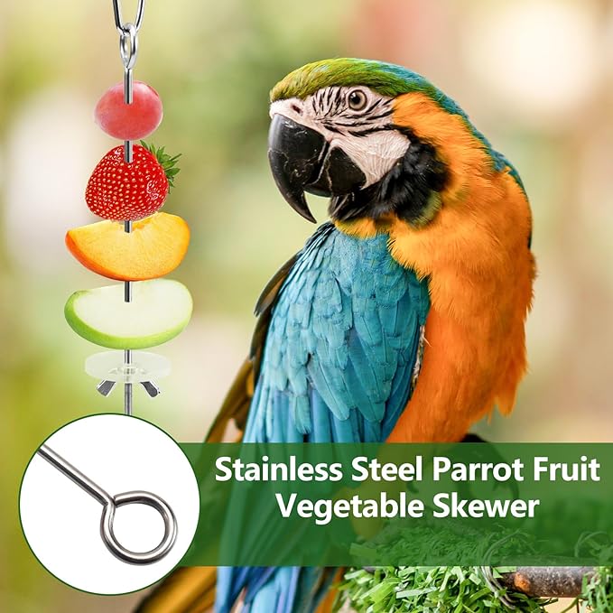 LELE LIFE 5Pcs Bird Cage Food Holder, Hanging Parrot Fruit Vegetable Skewer, Stainless Steel Bird Foraging Toys Bird Cage Feeder for Parakeet Budgie Bird Cage Accessories
