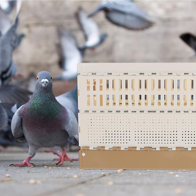 Balacoo Foldable Pigeon Cage, Portable and Convenient Pigeon House for Training and Domestication