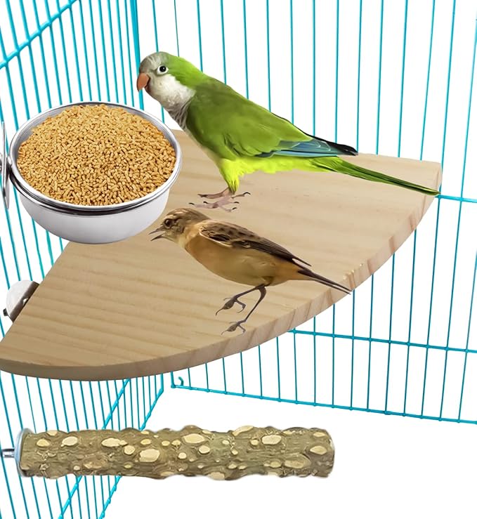 3 Pack Bird Feeding Bowls Cups Parrot Food Water Dishes, Stainless Steel Bird Bowl Cup Dish with Clamp, Birdcage Feeder Pet Cage Bowls for Cockatiel Budgie Conure Macaw Parakeet Small Animal