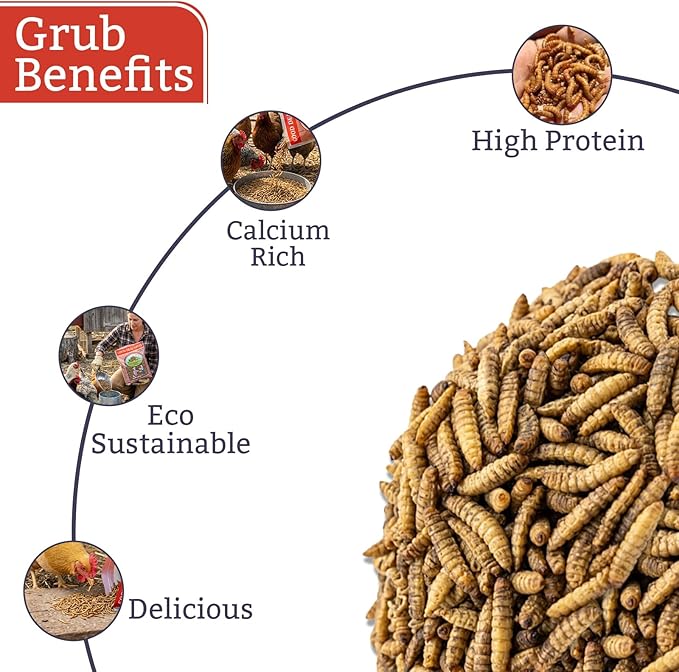 Good Deal Grubs Dried Black Soldier Fly Larvae for Chickens 5 lb, High Protein Chicken Treats with Calcium, Chicken Snacks and Supplements for Poultry and Birds