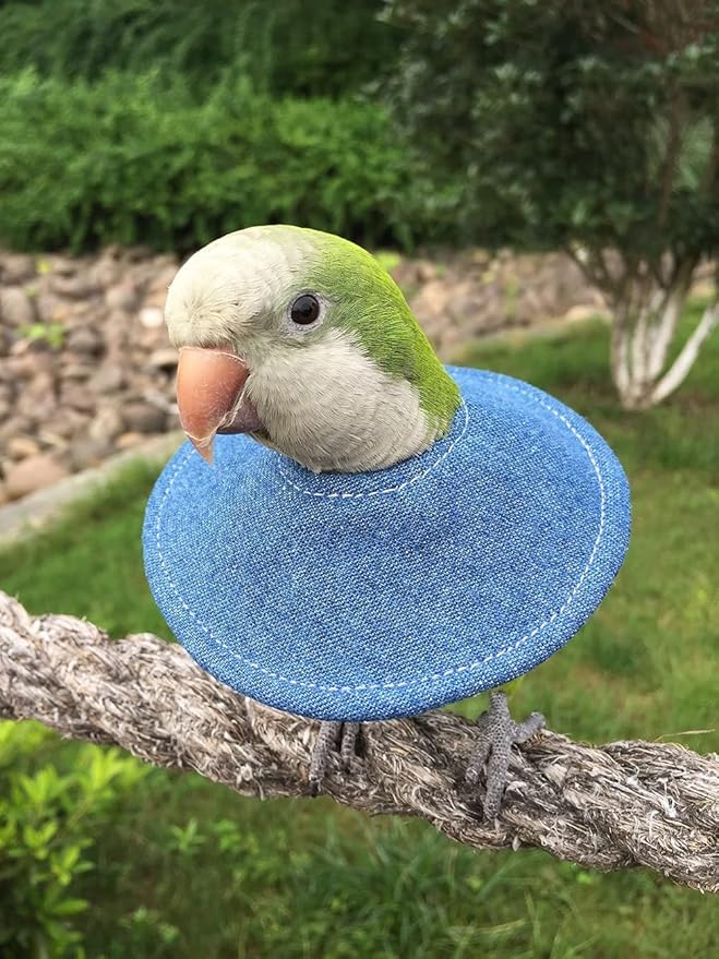 Adjustable Bird Collar - Recovery Collar Parrot Elizabeth Collar for Feather Plucking Feather Protector Shield with Soft Padded Cotton Neck Cone Anti-bite Anti-Licking Wound Healing (4XL,Blue)