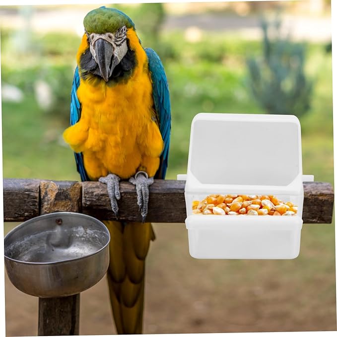 3pcs Splash Bird Food Container for Parrots Convenient Feeding Boxes Plastic Bird Feeder for Indoor Outdoor Use Easy Install Clean